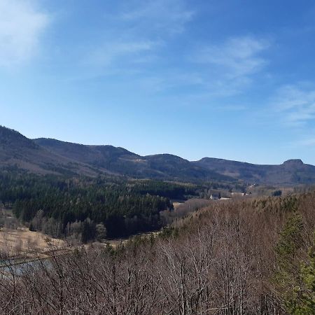 Agroturystyka Tam Gdzie Sosny Ścinawka Dolna Exterior foto