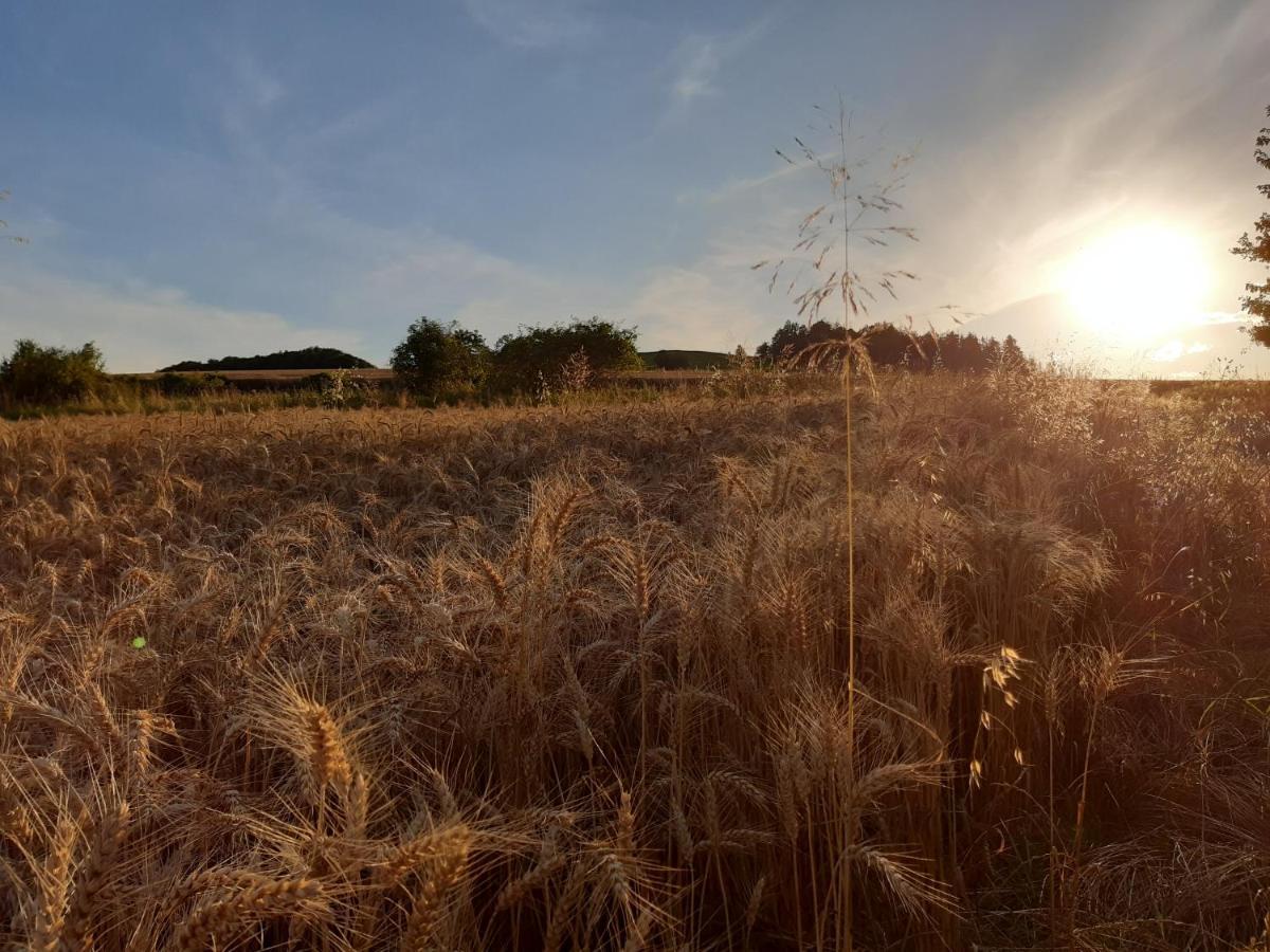 Agroturystyka Tam Gdzie Sosny Ścinawka Dolna Exterior foto