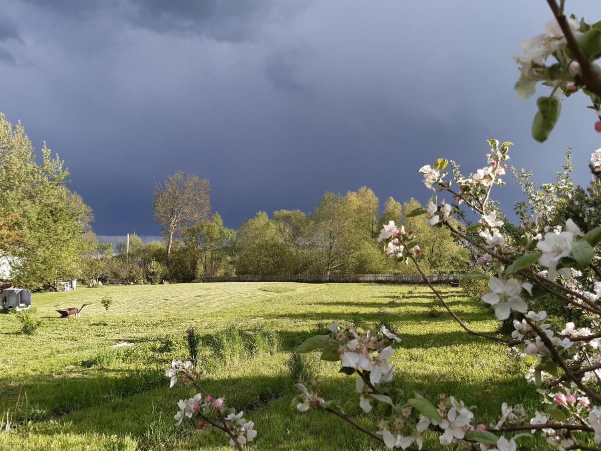 Agroturystyka Tam Gdzie Sosny Ścinawka Dolna Exterior foto