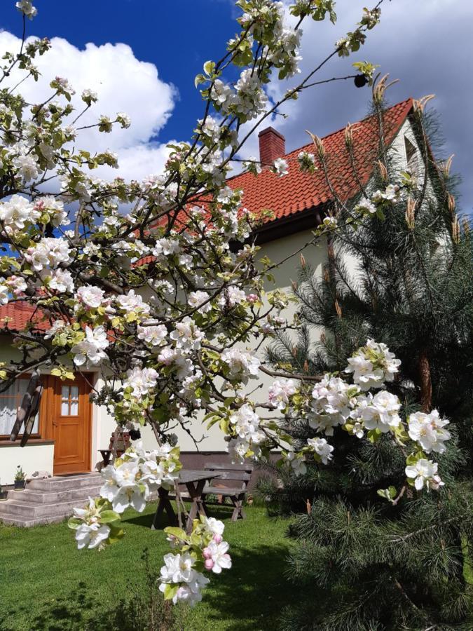 Agroturystyka Tam Gdzie Sosny Ścinawka Dolna Exterior foto